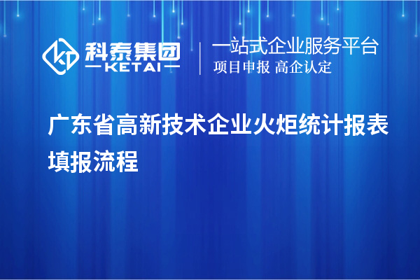 廣東省高新技術(shù)企業(yè)火炬統(tǒng)計(jì)報(bào)表填報(bào)流程