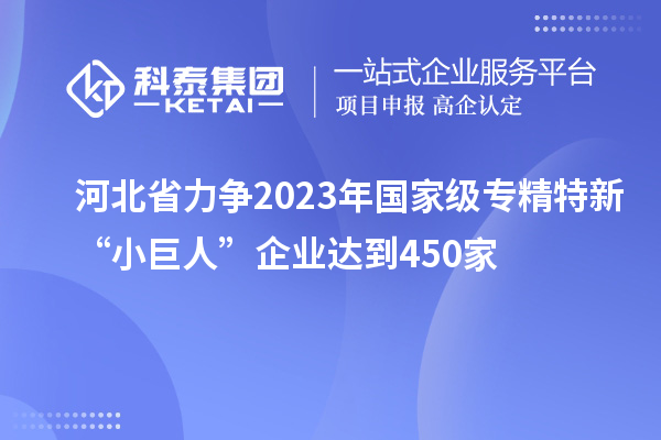 河北省力爭2023年國家級專精特新“小巨人”企業達到450家