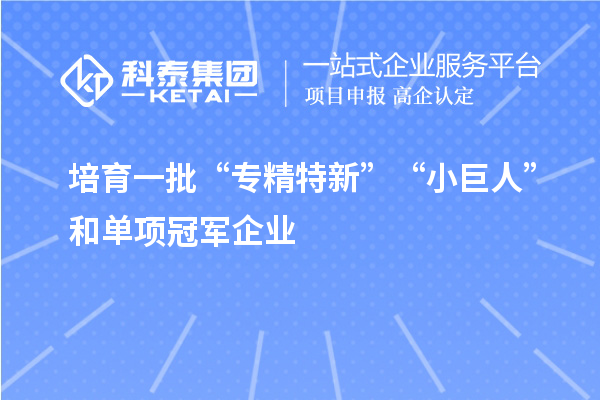 培育一批“專精特新”“小巨人”和單項冠軍企業