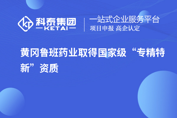 黃岡魯班藥業取得國家級“專精特新”資質