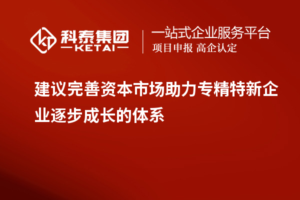 建議完善資本市場助力專精特新企業(yè)逐步成長的體系