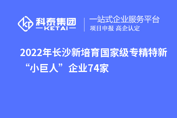 2022年長沙新培育國家級專精特新“小巨人”企業74家