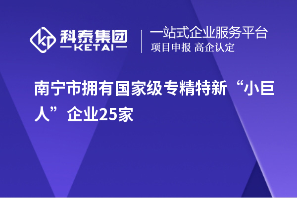 南寧市擁有國家級專精特新“小巨人”企業25家