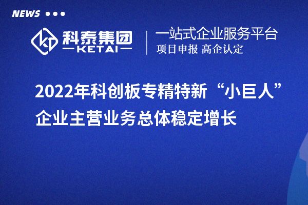 2022年科創板專精特新“小巨人”企業主營業務總體穩定增長