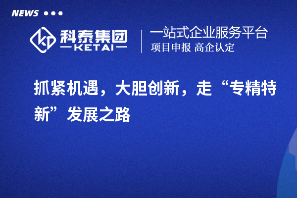 抓緊機遇，大膽創新，走“專精特新”發展之路