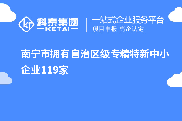 南寧市擁有自治區級專精特新中小企業119家