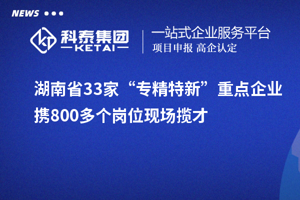 湖南省33家“專精特新”重點企業(yè)攜800多個崗位現(xiàn)場攬才