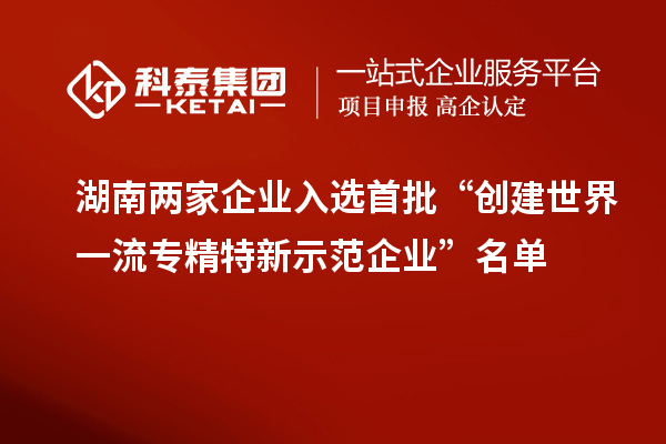 湖南兩家企業入選首批“創建世界一流專精特新示范企業”名單