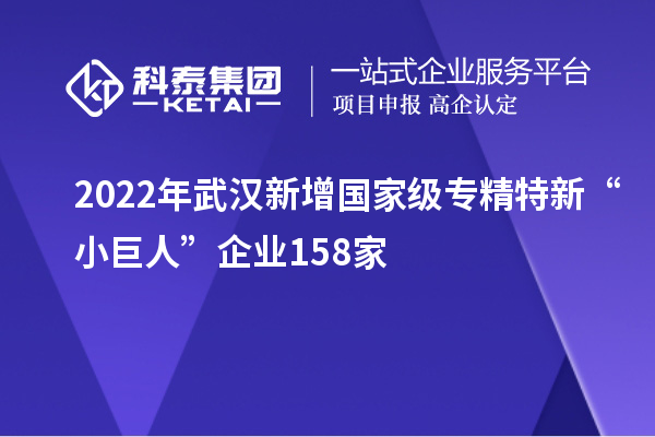 2022年武漢新增國家級專精特新“小巨人”企業158家