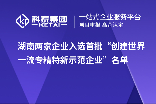 湖南兩家企業入選首批“創建世界一流專精特新示范企業”名單