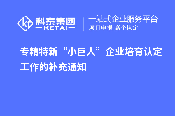 專精特新“小巨人”企業(yè)培育認(rèn)定工作的補(bǔ)充通知