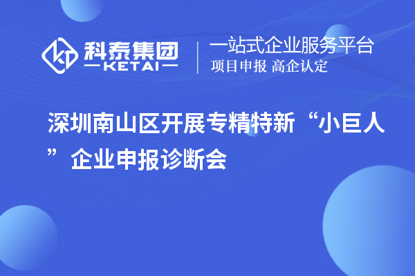 深圳南山區(qū)開(kāi)展專精特新“小巨人”企業(yè)申報(bào)診斷會(huì)