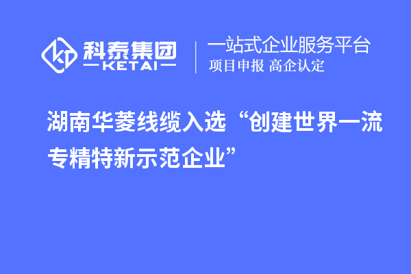 湖南華菱線纜入選“創建世界一流專精特新示范企業”