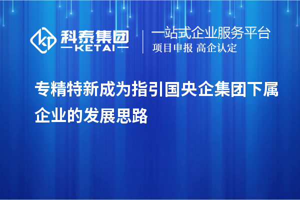 專精特新成為指引國央企集團下屬企業的發展思路