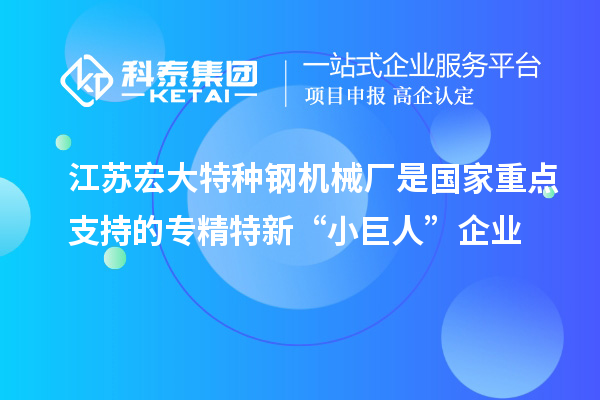 江蘇宏大特種鋼機械廠是國家重點支持的專精特新“小巨人”企業