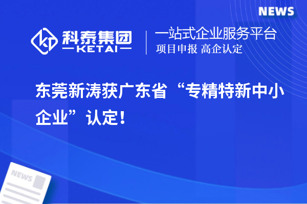 東莞新濤獲廣東省“專精特新中小企業”認定！