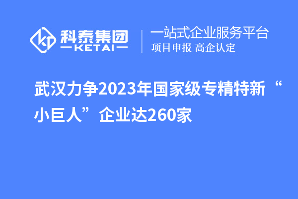 武漢力爭2023年國家級專精特新“小巨人”企業達260家