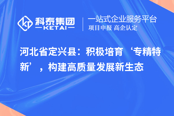 河北省定興縣：積極培育‘專精特新’，構建高質量發展新生態