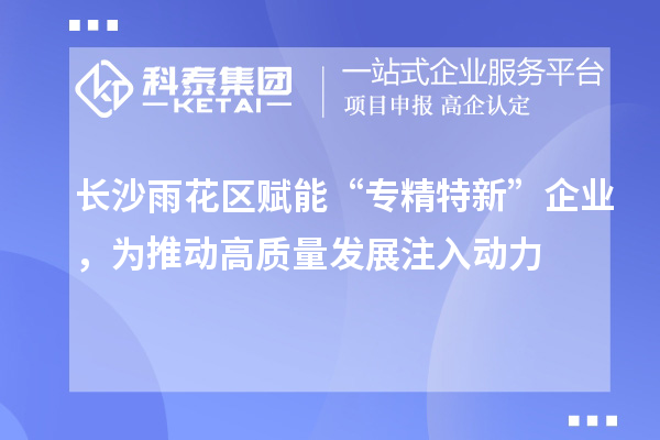 長沙雨花區賦能“專精特新”企業，為推動高質量發展注入動力