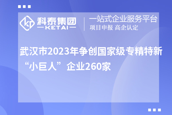 武漢市2023年?duì)巹?chuàng)國(guó)家級(jí)專精特新“小巨人”企業(yè)260家