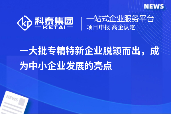 一大批專精特新企業脫穎而出，成為中小企業發展的亮點