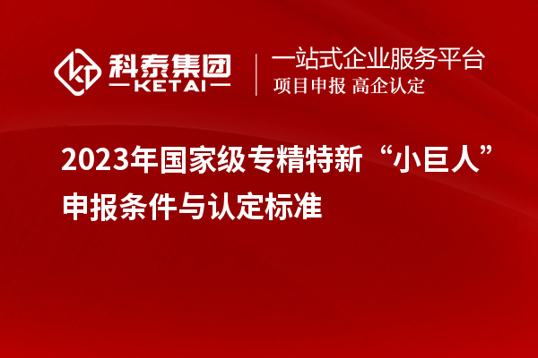 2023年國家級(jí)專精特新“小巨人”申報(bào)條件與認(rèn)定標(biāo)準(zhǔn)