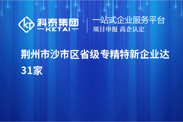 荊州市沙市區省級專精特新企業達31家