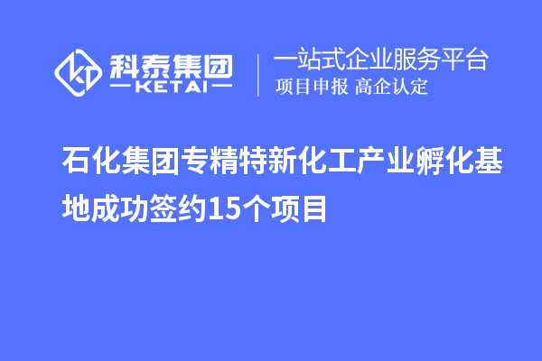 石化集團(tuán)專(zhuān)精特新化工產(chǎn)業(yè)孵化基地成功簽約15個(gè)項(xiàng)目