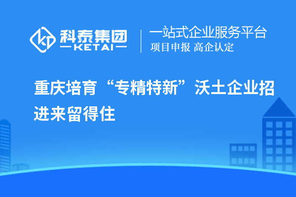 重慶培育“專精特新”沃土 企業招進來留得住