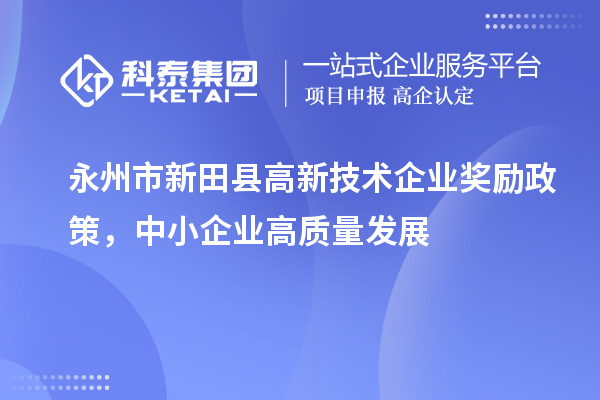 永州市新田縣高新技術企業獎勵政策，中小企業高質量發展