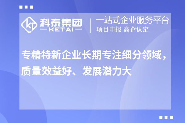 專精特新企業(yè)長期專注細(xì)分領(lǐng)域，質(zhì)量效益好、發(fā)展?jié)摿Υ? style=