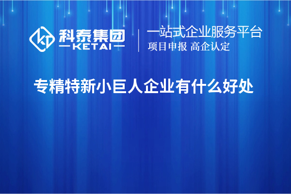 專精特新小巨人企業有什么好處