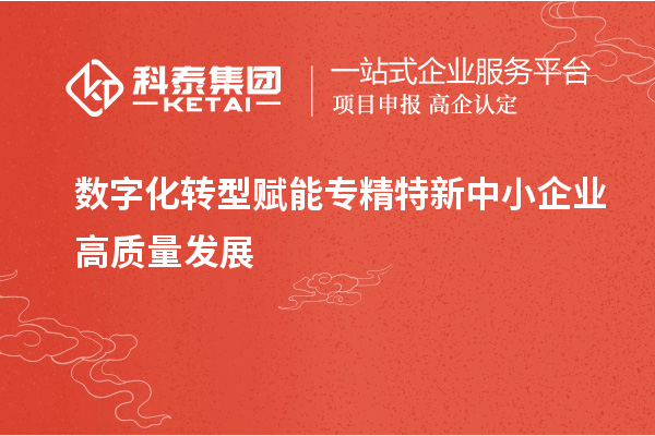 數字化轉型賦能專精特新中小企業高質量發展