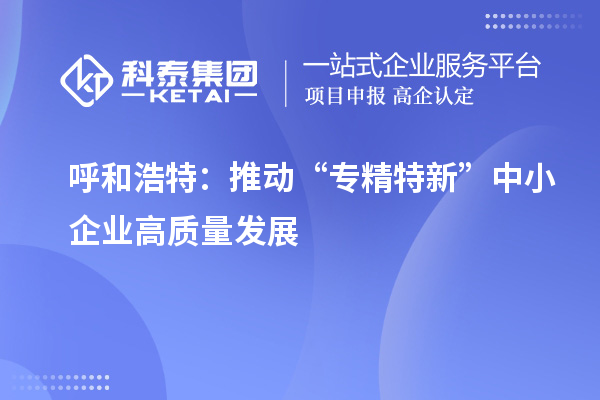 呼和浩特：推動“專精特新” 中小企業高質量發展