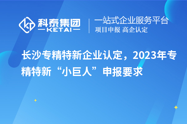 長沙專精特新企業認定，2023年專精特新“小巨人”申報要求