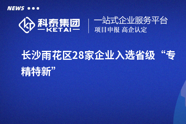 長沙雨花區(qū)28家企業(yè)入選省級“專精特新”