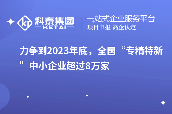 力爭到2023年底，全國“專精特新”中小企業(yè)超過8萬家