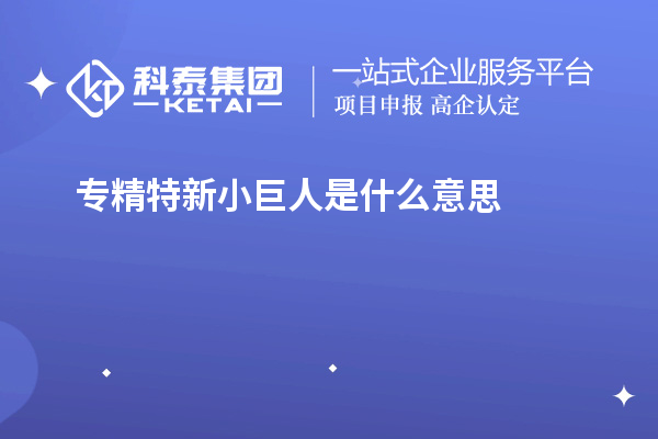 專精特新小巨人是什么意思