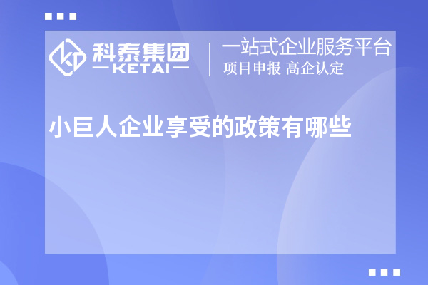 小巨人企業(yè)享受的政策有哪些