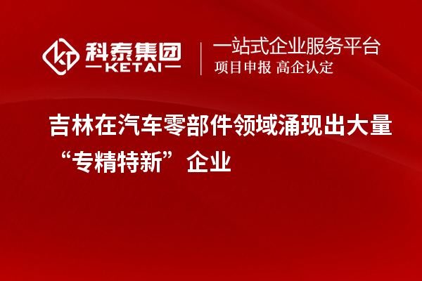 吉林在汽車零部件領域涌現出大量“專精特新”企業