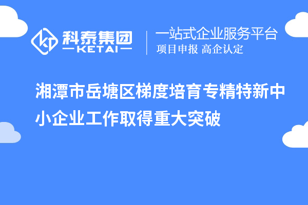 湘潭市岳塘區梯度培育專精特新中小企業工作取得重大突破