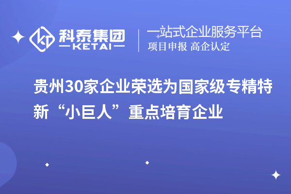 貴州30家企業榮選為國家級專精特新“小巨人”重點培育企業