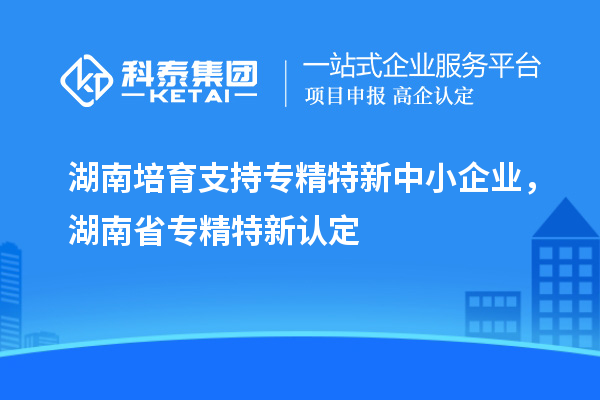 湖南培育支持專精特新中小企業，湖南省專精特新認定