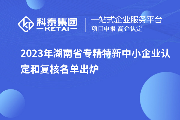 2023年湖南省專精特新中小企業認定和復核名單出爐