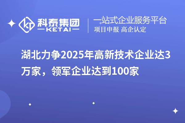 湖北力爭2025年高新技術(shù)企業(yè)達3萬家，領(lǐng)軍企業(yè)達到100家