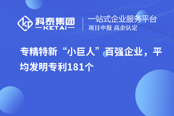 專精特新“小巨人”百強企業，平均發明專利181個