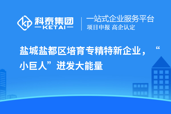 鹽城鹽都區培育專精特新企業，“小巨人”迸發大能量