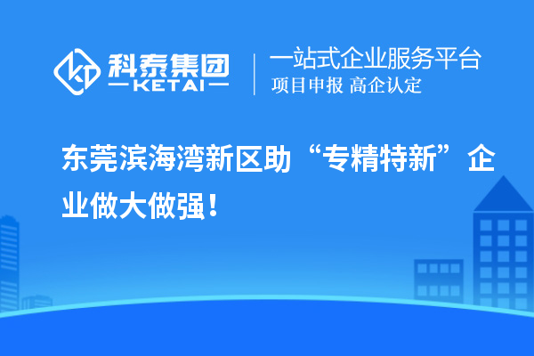 東莞濱海灣新區助“專精特新”企業做大做強！