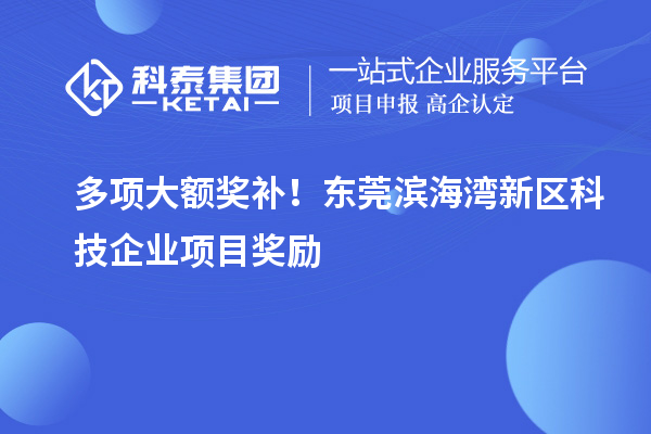 多項大額獎補！東莞濱海灣新區科技企業項目獎勵