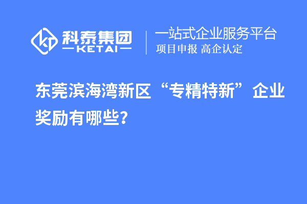 東莞濱海灣新區“專精特新”企業獎勵有哪些？